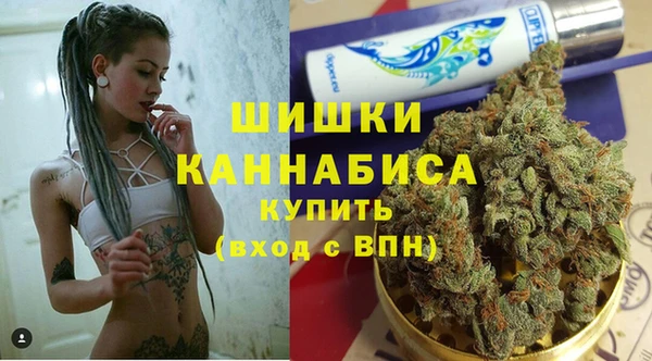spice Арсеньев