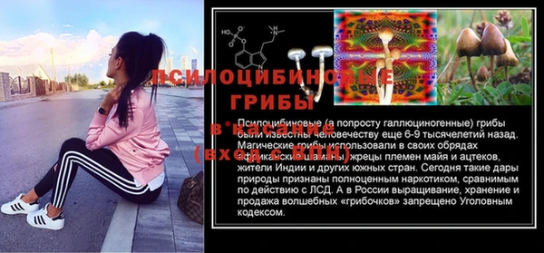 MDMA Premium VHQ Аркадак